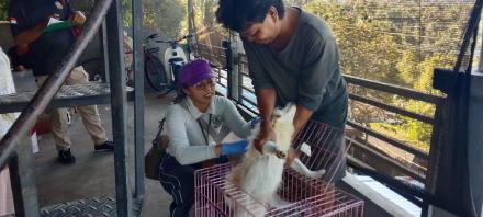VAKSIN RABIES